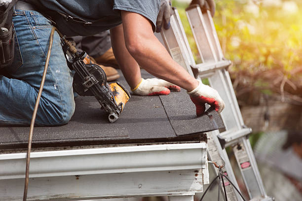 Best Storm Damage Roof Repair  in Ford Heights, IL