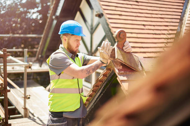 Best Roof Maintenance Services  in Ford Heights, IL